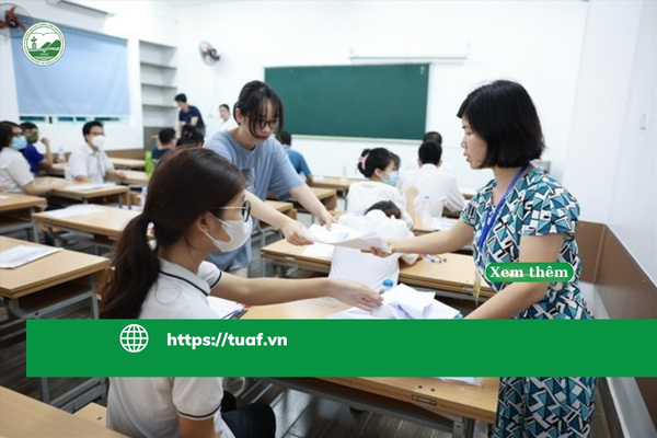 bo-gd-va-dt-sap-xep-sap-nhap-truong-hoc