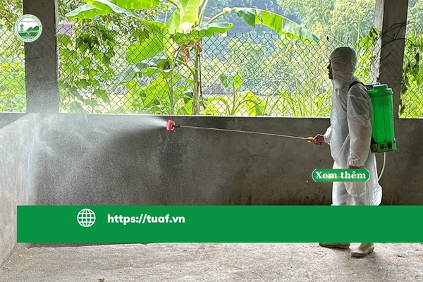 chu-dong-quyet-liet-phong--chong-dich-cum-gia-cam