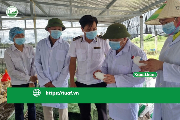 thieu-hut-thu-y-co-so-tai-hai-phong