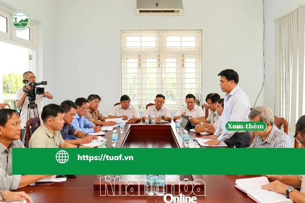 khanh-hoa-quyet-liet-kiem-soat-dich-cum-gia-cam-va-ta-heo-chau-phi