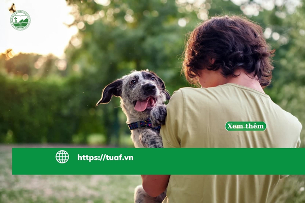 benh-chagas-de-doa-nha-o-va-thu-cung