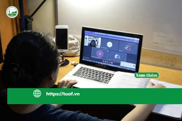 dat-b1-vstep-sau-3-thang-bi-quyet-luyen-thi-online-evstep