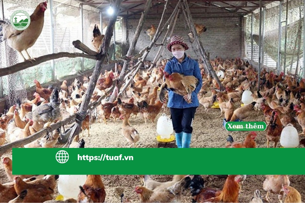 ha-noi-tang-cuong-uy-quyen-quan-ly-nong-nghiep