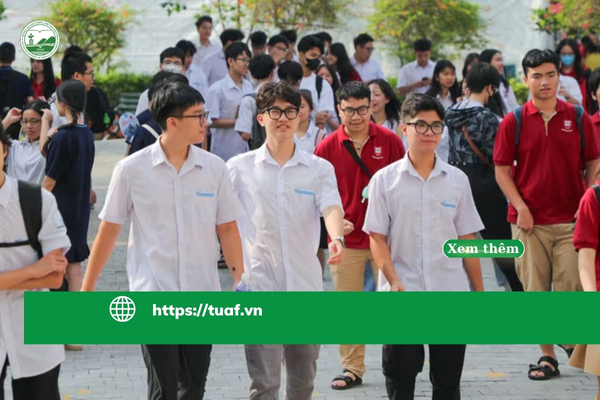 bo-gd-dt-yeu-cau-cac-truong-cong-bo-som-thong-tin-tuyen-sinh-nam-2026