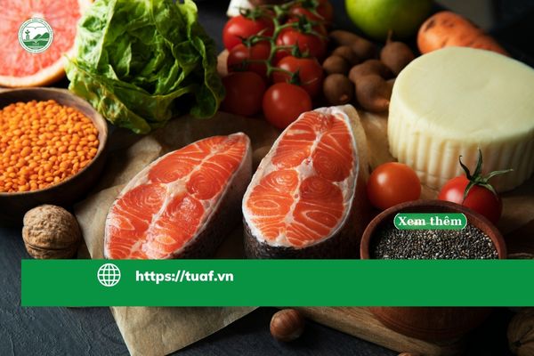 vi-sao-nhat-ban-kiem-soat-thuc-pham-nghiem-ngat-co-hoi-vang-cho-nguoi-hoc-nganh-cong-nghe-thuc-pham