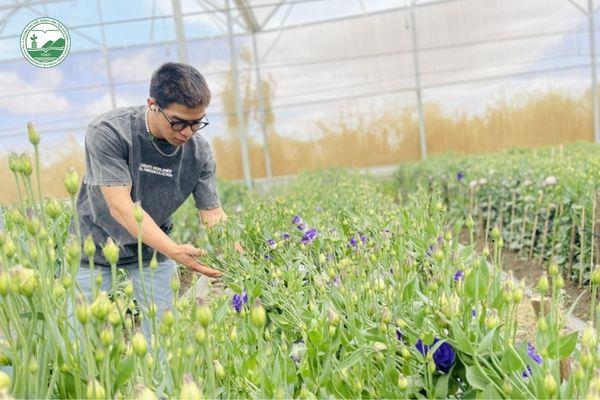 Gia Lai đã ứng dụng công nghệ sinh học