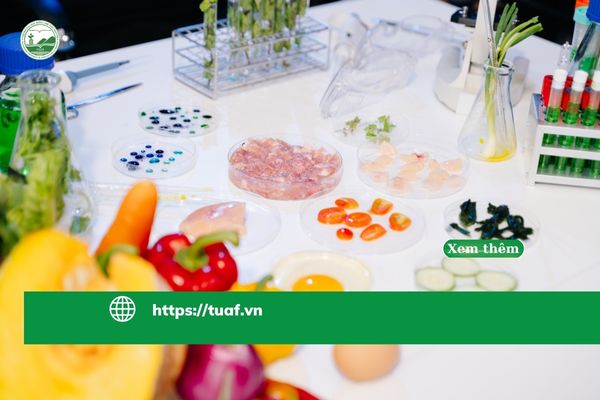 Ngành Công nghệ Thực phẩm – cơ hội việc làm ổn định cho người Việt tại Nhật và Việt Nam