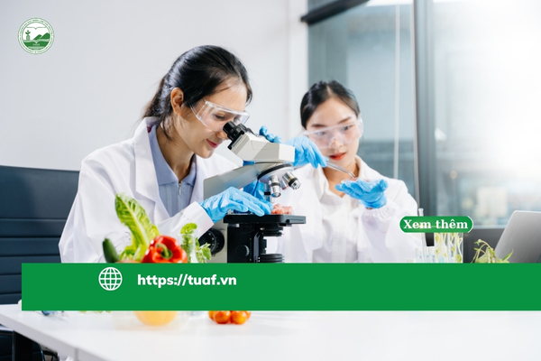 hoc-cong-nghe-thuc-pham-hanh-trinh-tim-kiem-co-hoi-nghe-nghiep-tai-nhat