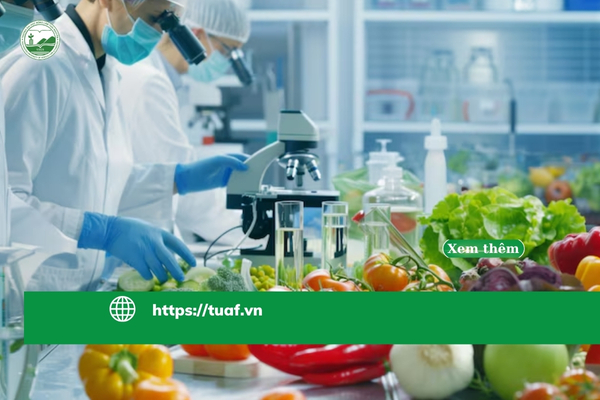 tot-nghiep-nganh-cong-nghe-thuc-pham-nen-o-lai-nhat-lam-hay-ve-viet-nam