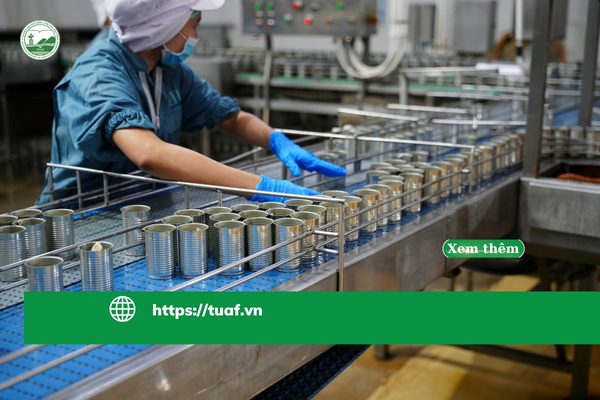 che-bien-thuc-pham-tai-nhat-ban-cong-viec-thuc-te-và-co-hoi-phat-trien-cho-lao-dong-viet