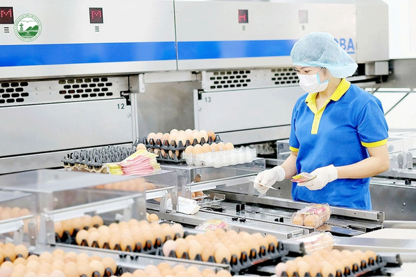 moi-truong-lam-viec-che-bien-thuc-pham