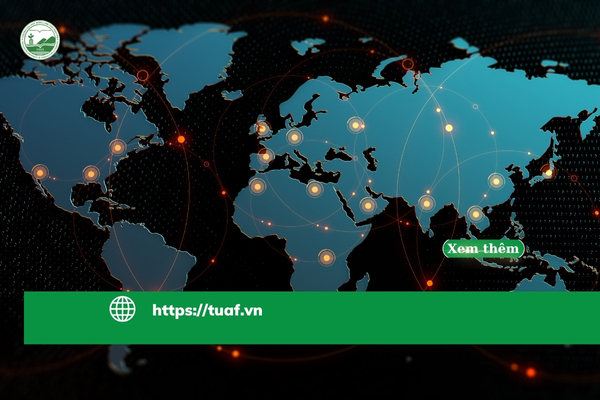 nganh-kinh-doanh-quoc-te-hoc-gi-lam-gi-va-co-hoi-nghe-nghiep-trong-thoi-dai-toan-cau-hoa