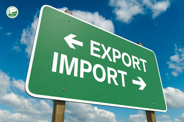 quan-tri-xuat-nhap-khau-va-logistis-trong-kinh-doanh-quoc-te
