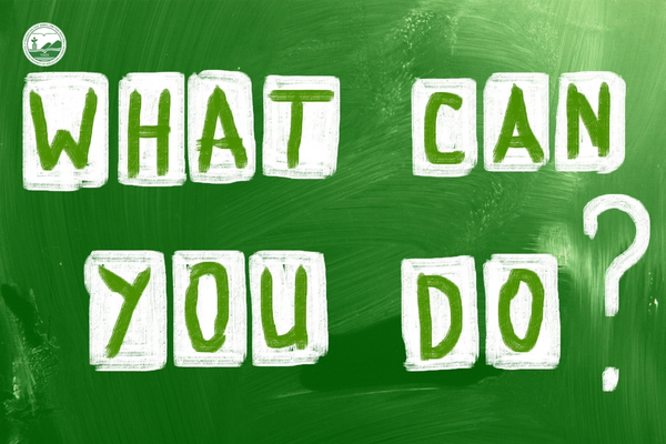 Các vị trí nghề nghiệp: international sales, logistics, marketing quốc tế, project coordinator.