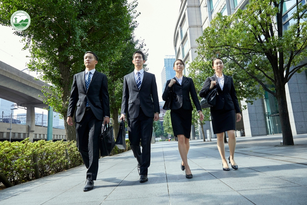 Lộ trình nghề nghiệp: staff → team leader → manager → director trong môi trường doanh nghiệp Nhật.