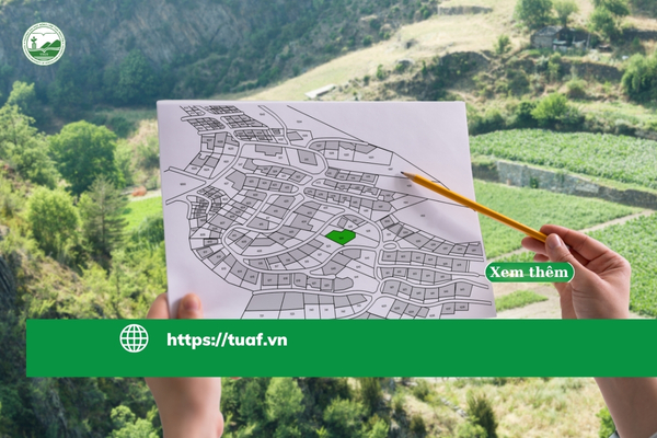 Tổng quan ngành Quản lý Đất đai trong bối cảnh công nghiệp hóa và đô thị hóa tại Việt Nam.