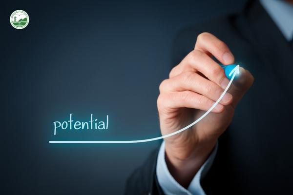 Tiềm năng phát triển ngành Quản lý Đất đai trong giai đoạn đô thị hóa mạnh và Luật Đất đai 2024.