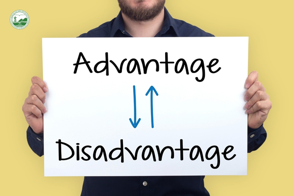 Ưu và nhược điểm của ngành Quản lý Đất đai đối với sinh viên và người làm nghề.