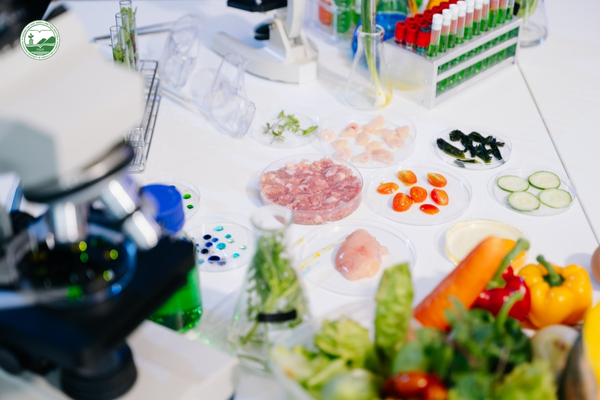 Định nghĩa ngành Công nghệ Thực phẩm và các lĩnh vực nghiên cứu – sản xuất.