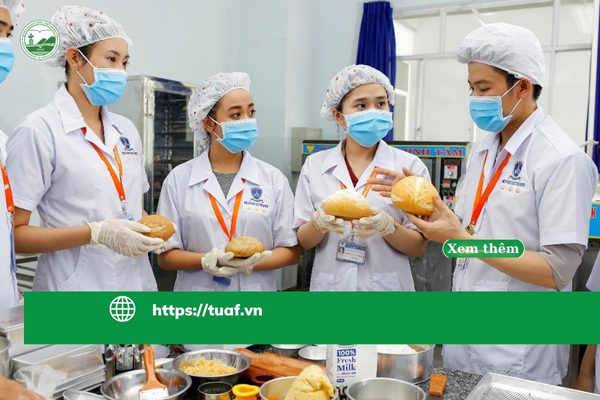 Ngành Công nghệ Thực phẩm và vai trò trong chuỗi giá trị F&B tại Việt Nam.