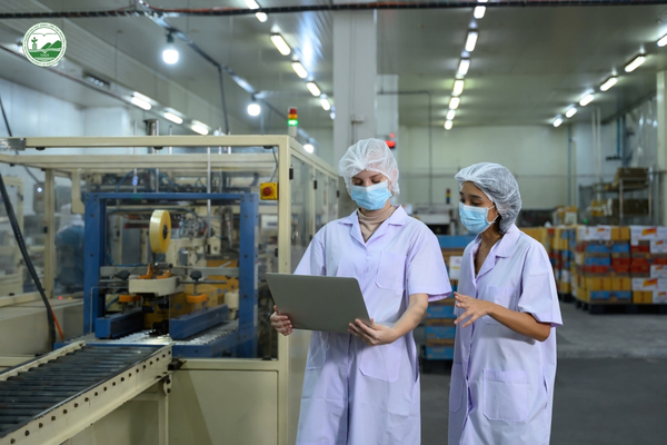 Các vị trí nghề nghiệp sau khi học ngành Công nghệ Thực phẩm.