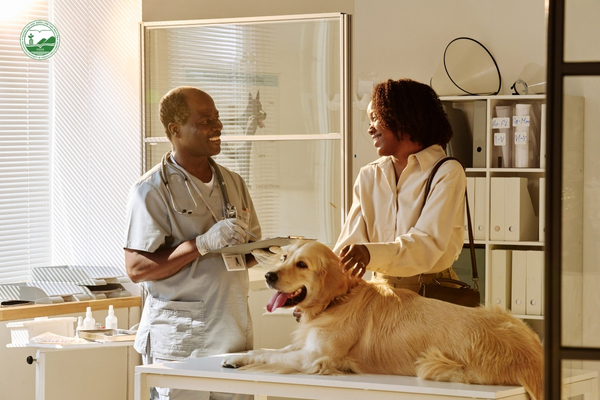 Người nuôi thú cưng chi tiêu nhiều hơn cho thức ăn cao cấp, chăm sóc sức khỏe và các sản phẩm công nghệ pet-tech.