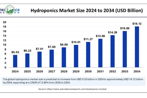Thị trường rau thủy canh toàn cầu tăng trưởng mạnh, đạt 5,53 tỷ USD năm 2024 và dự kiến lên 6,23 tỷ USD vào 2025.