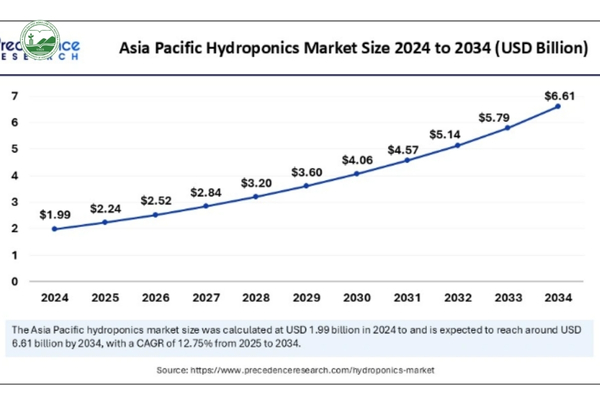 Thị trường thủy canh khu vực Châu Á – Thái Bình Dương đạt 1,99 tỷ USD năm 2024 và duy trì tăng trưởng mạnh đến năm 2034.