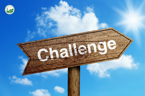 Các vấn đề kỹ thuật và chi phí cao trong mô hình thủy canh.