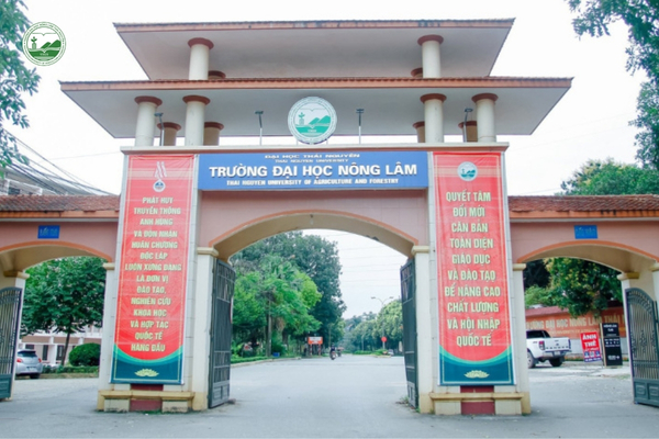 Người học tìm hiểu kiến thức nông nghiệp công nghệ cao để vận hành thủy canh.