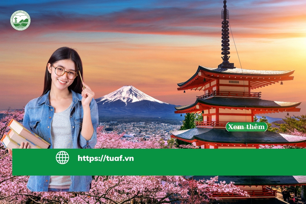 tuaf-tuyen-sinh-dai-hoc-tu-xa-nhat-ban-2025