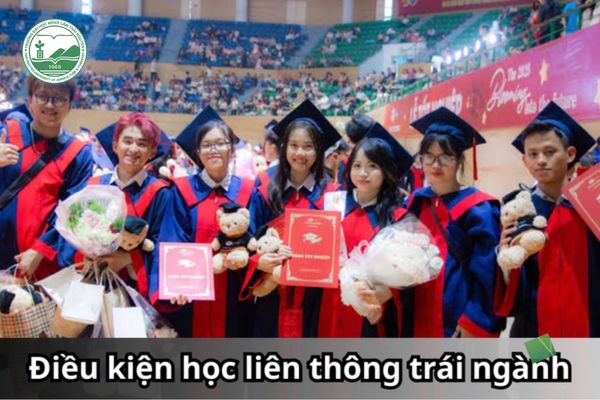Đã có bằng tốt nghiệp Trung cấp hoặc Cao đẳng