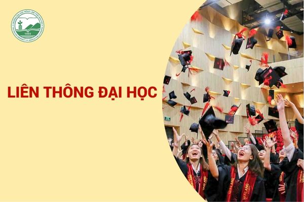 Liên thông đại học là lộ trình nâng cấp trình độ từ Trung cấp/Cao đẳng lên Đại học