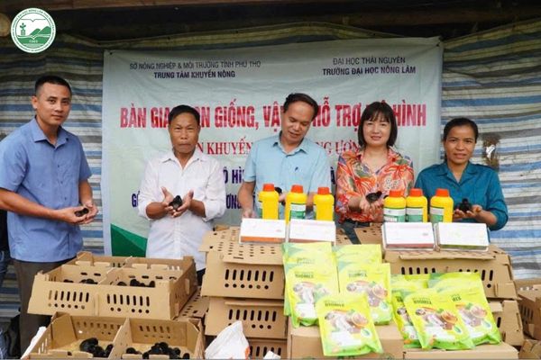 Bàn giao con giống và vật tư cho các hộ chăn nuôi tại tỉnh Thái Nguyên, Tuyên Quang, Phú Thọ